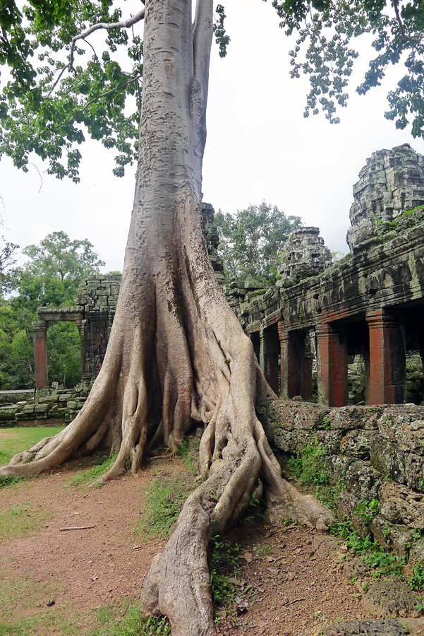 Cambodia - Angkor - Banteay Kdey 09-09-2011 #09