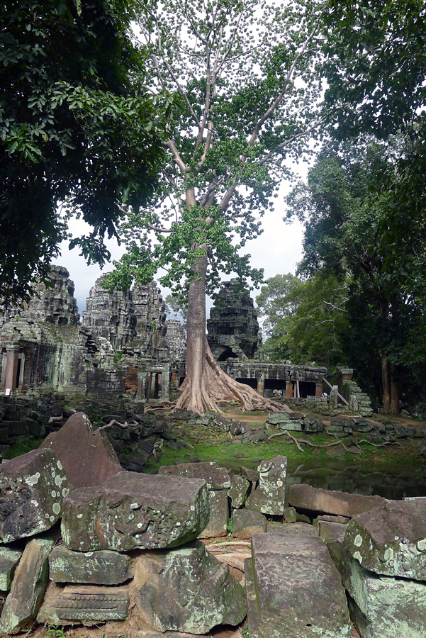 Cambodia - Angkor - Banteay Kdey 09-09-2011 #12