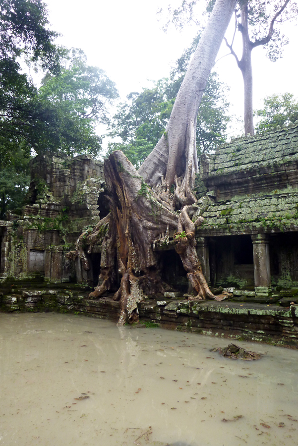 Cambodia - Angkor - Preah Khan 10-09-2011 #53