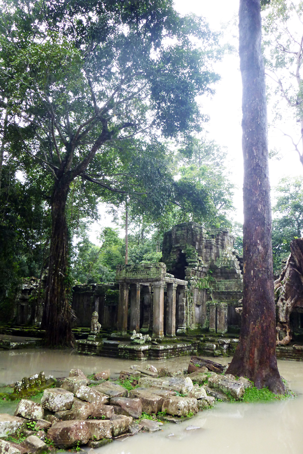 Cambodia - Angkor - Preah Khan 10-09-2011 #55