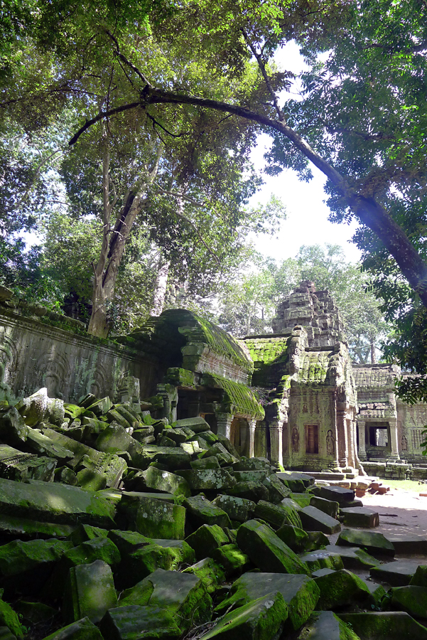 Cambodia - Angkor - Ta Prohm 09-09-2011 #03