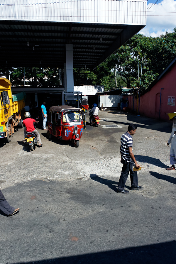 Sri-Lanka - Matale #4