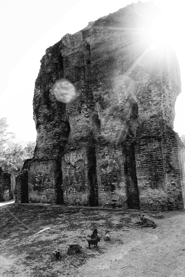 Sri-Lanka - Polonnaruwa #01