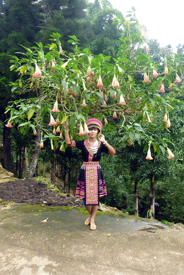 Thailand - Chiang Mai - Doi Pui - Hmong Village 14-09-2011 #14