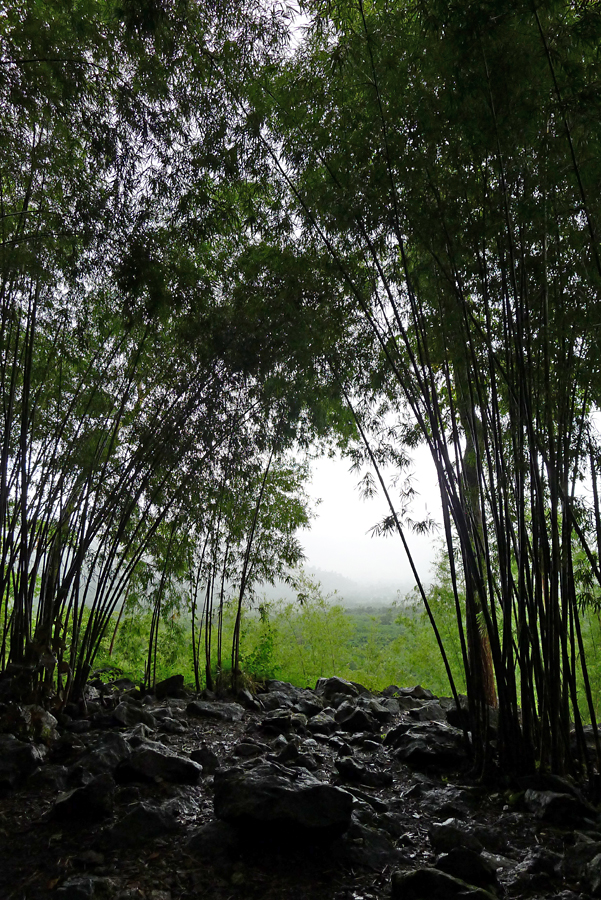 Thailand - Kanchanaburi - Hellfire Pass 04-09-2011 #10