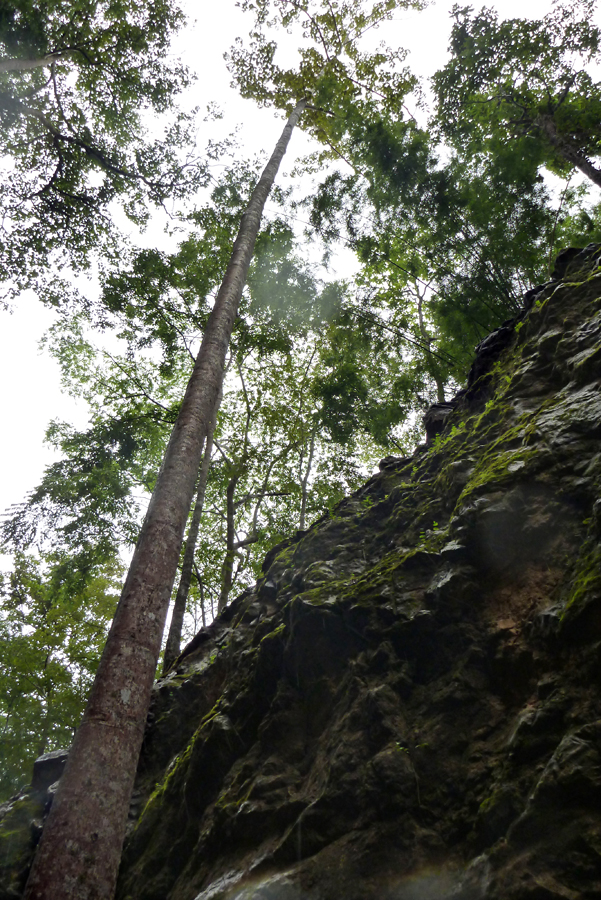 Thailand - Kanchanaburi - Hellfire Pass 04-09-2011 #24