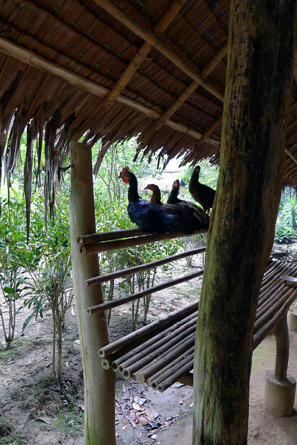 Thailand - Kanchanaburi - The River Kwai Jungle Rafts - Mon Village 05-09-2011 #02