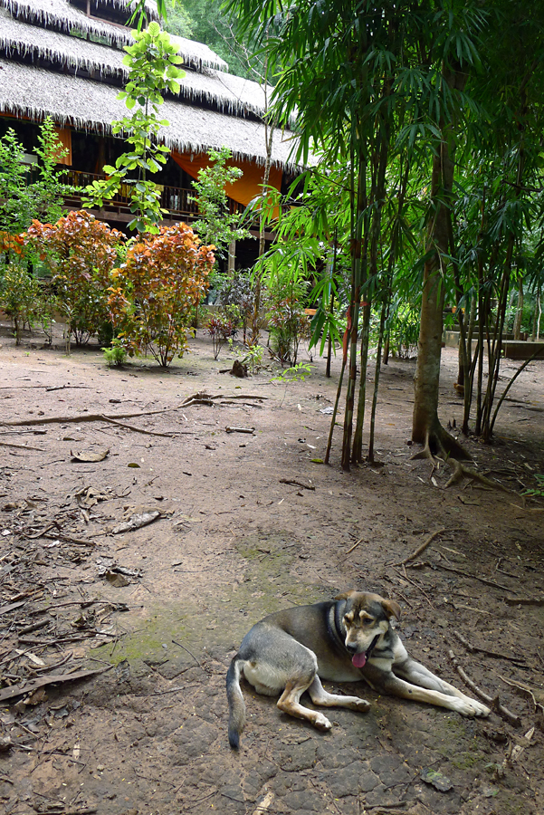 Thailand - Kanchanaburi - The River Kwai Jungle Rafts - Mon Village 05-09-2011 #61