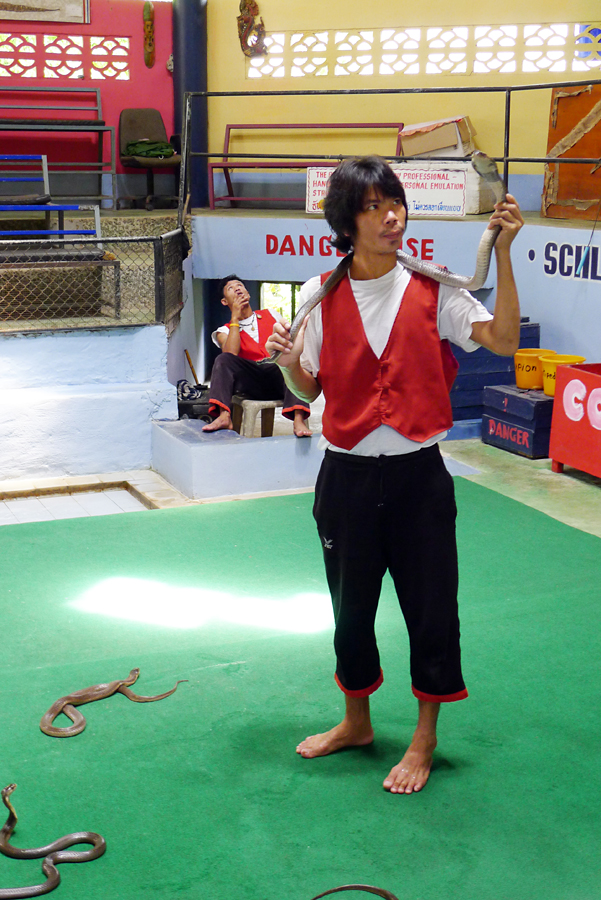 Thailand - Koh Samui - Snake Farm 19-09-2011 #59