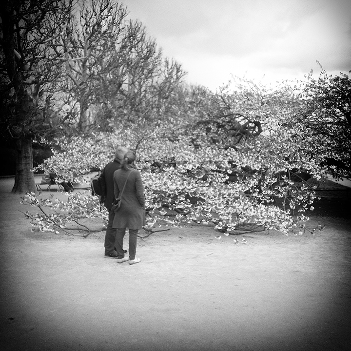 Paris - Jardin des Plantes 12-04-2013 #04