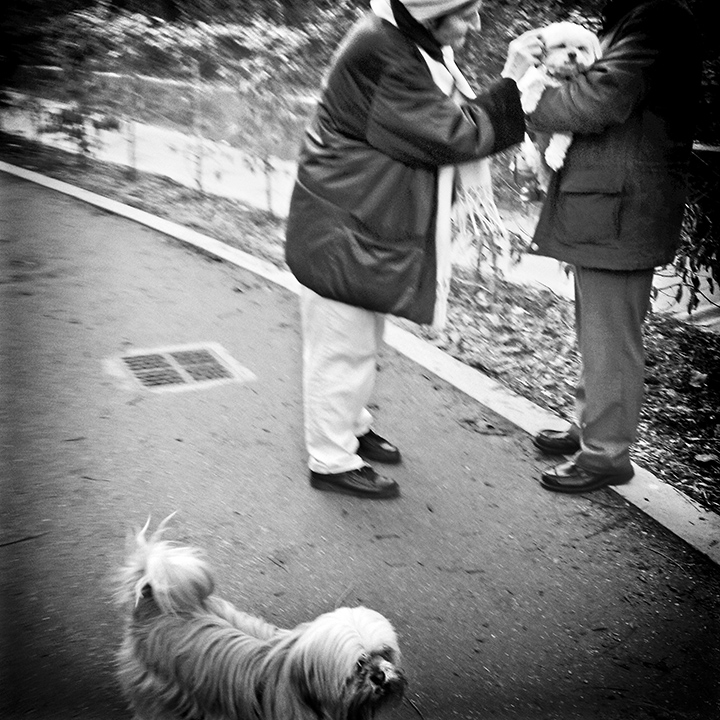 Paris - La Coulée verte 12-02-2015 #10