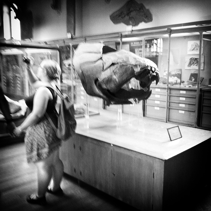 Paris - Muséum d&#39;Histoire naturelle 12-08-2013 #16