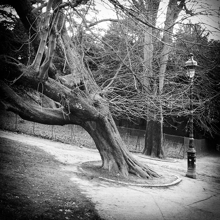 Paris - Parc des Buttes Chaumont 17-01-2014 #10