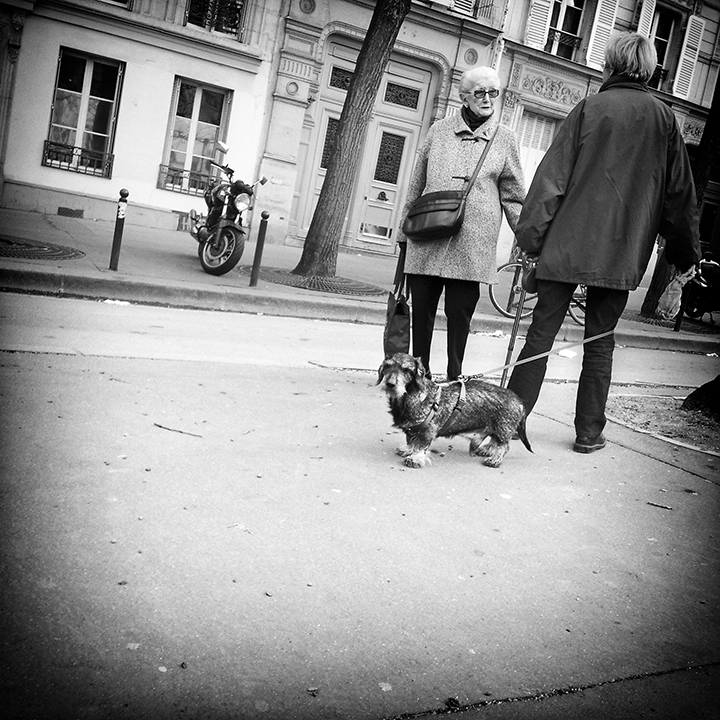 Paris - Place Jussieu 22-03-2014 #02