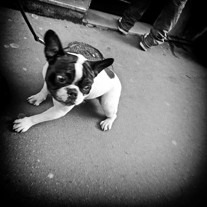 Paris - Rue Montmartre 14-01-2014 #04