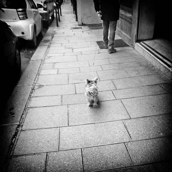 Paris - Rue Saint-Fiacre 25-01-2014