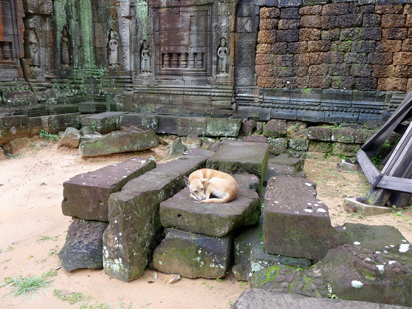 Cambodia - Angkor - Ta Som 10-09-2011 #11