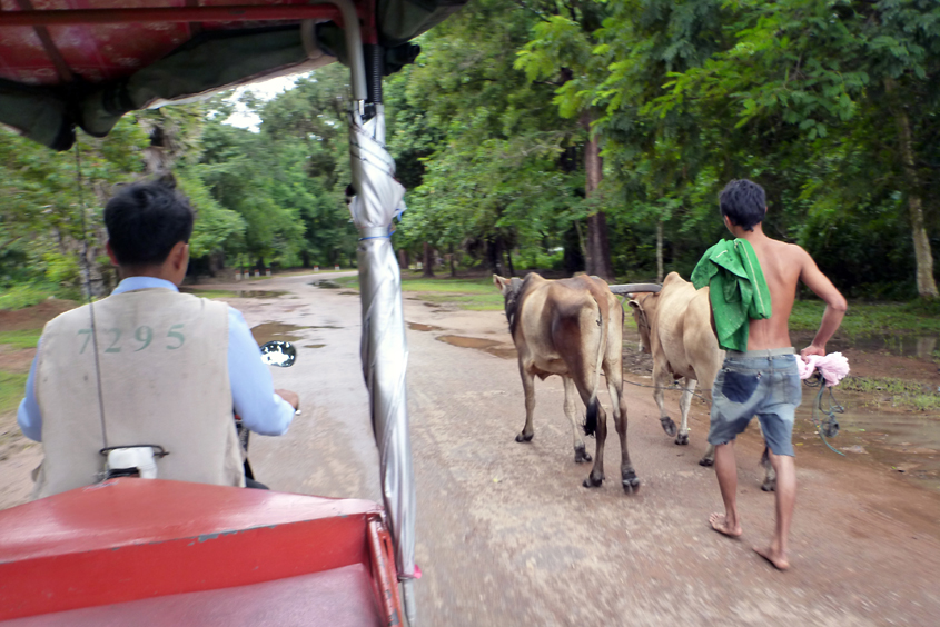 Cambodia - Angkor 10-09-2011 #03