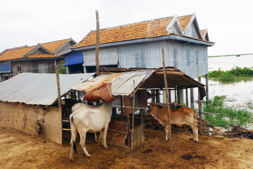 Cambodia - Road between Phnom Penh and Siem Reap 08-09-2011 #31