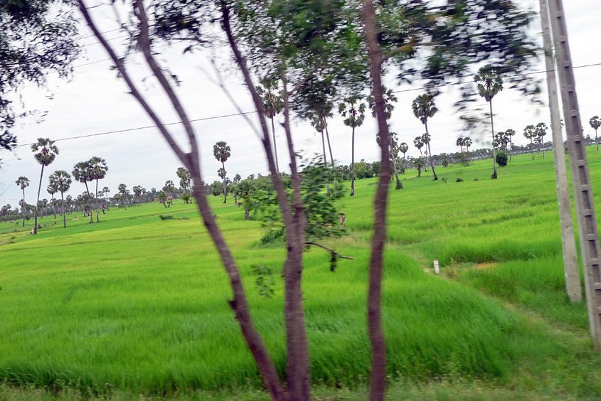 Cambodia - Road between Phnom Penh and Siem Reap 08-09-2011 #35