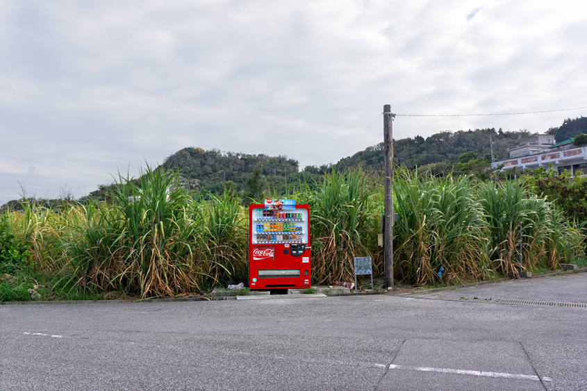 Japan - Okinawa - Ikei-jima 03-10-2013 #-27 (travaillée)