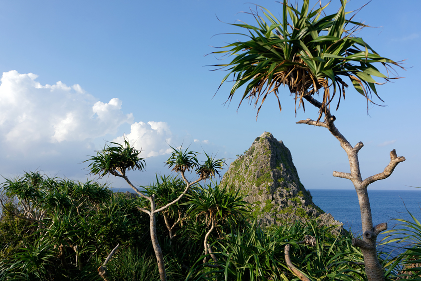 Japan - Okinawa - Maeda Point 08-10-2013 #-15 (travaillée)