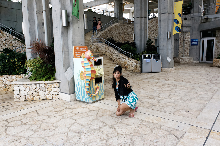 Japan - Okinawa - Ocean expo park 04-10-2013 #-14 (travaillée)