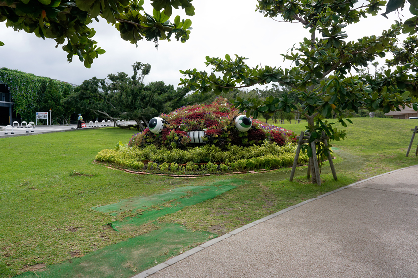 Japan - Okinawa - Ocean expo park 04-10-2013 #-5 (travaillée)