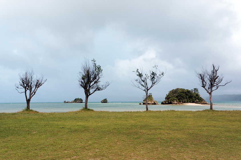 Japan - Okinawa - Yagaji-shima 06-10-2013 #-14 (travaillée)