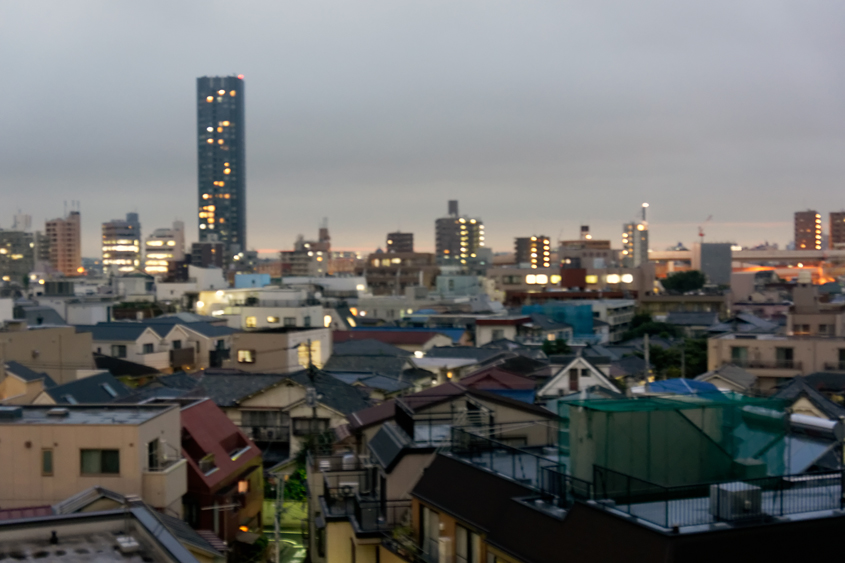 Japan - Tokyo - Ikebukuro 01-10-2013 #-198