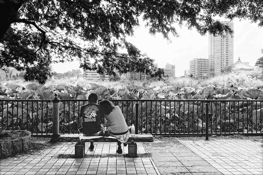 Japan - Tokyo - Ueno - Shinobazu no ike 12-10-2013 #-2 N&#38;B