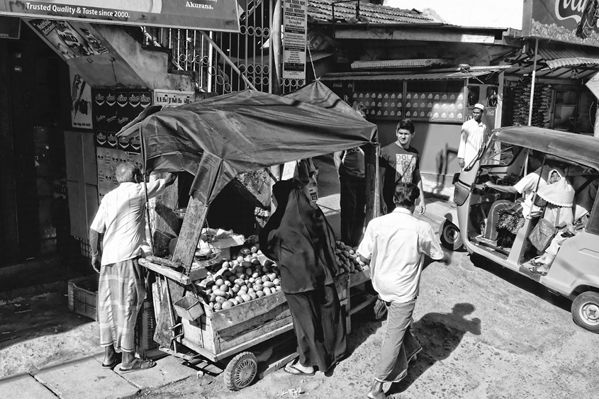 Sri-Lanka - Road between Matale &#38; Kandy #05