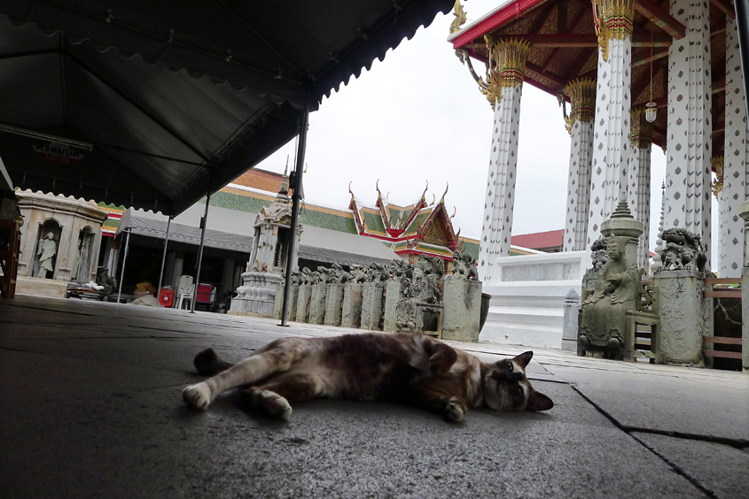 Thailand - Bangkok - Wat Arun 22-09-2011 #27