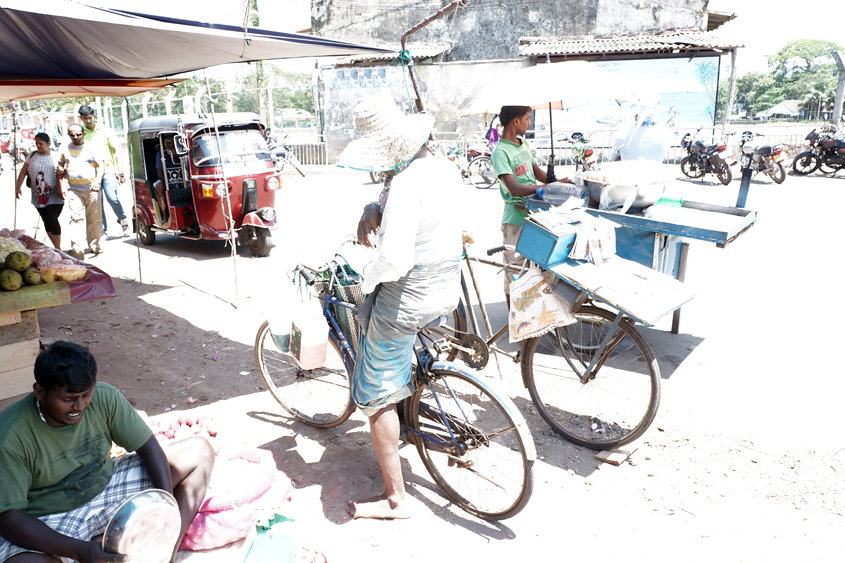 Sri-Lanka - Negombo fish market